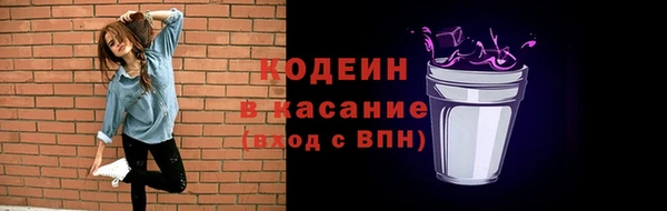 шишки Алексин