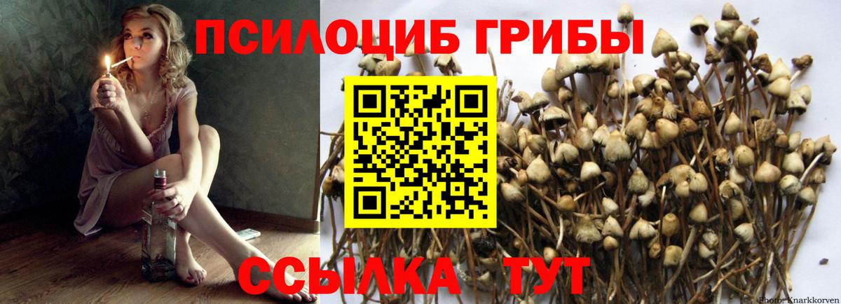 Галлюциногенные грибы Psilocybe  Вход с VPN  Псилоцибиновые грибы Cubensis  Нижнеудинск 