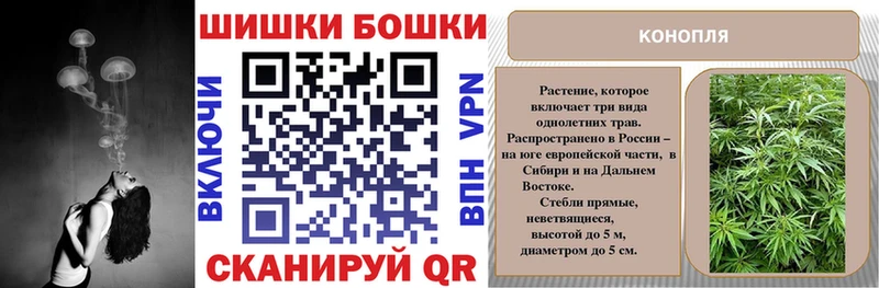 Марихуана конопля Нижнеудинск