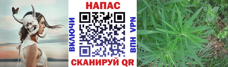 Шишки марихуана OG Kush  Нижнеудинск 